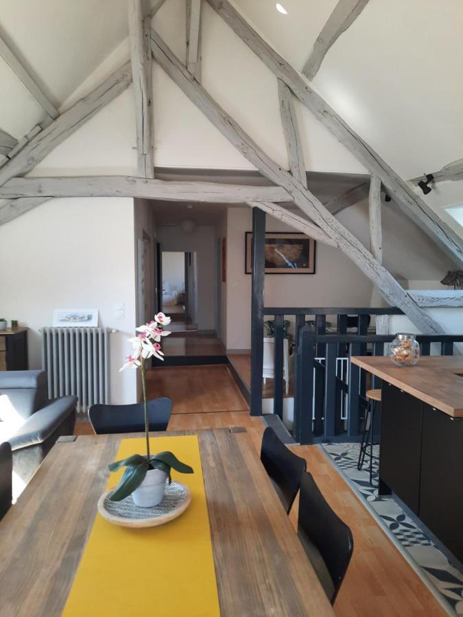 Grand Appartement Tout Confort Proche De Chambord Saint-Claude-de-Diray المظهر الخارجي الصورة
