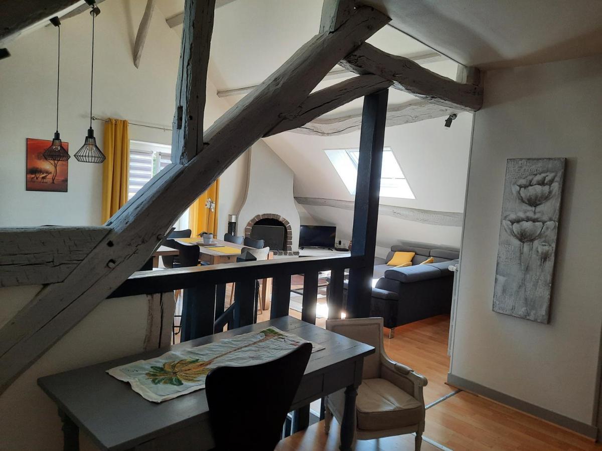 Grand Appartement Tout Confort Proche De Chambord Saint-Claude-de-Diray المظهر الخارجي الصورة